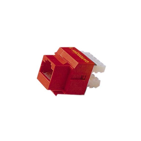 Conector Kablex RJ45 Hembra