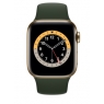 Apple Watch Serie 6 GPS + 4G 44MM Gold Stainless Steel + Correa Sport Cyprus Green