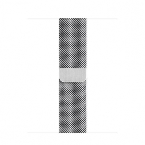 Correa Apple 40MM Milanese Loop Silver