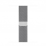 Correa Apple 40MM Milanese Loop Silver