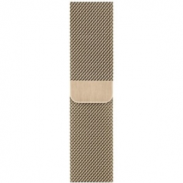 Correa Apple 40MM Milanese Loop Gold