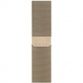 Correa Apple 40MM Milanese Loop Gold