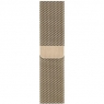 Correa Apple 40MM Milanese Loop Gold