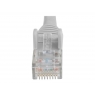 Cable Startech red RJ45 CAT 6 5M Gray