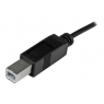 Cable Startech USB-C a USB 2.0 A-B 1M