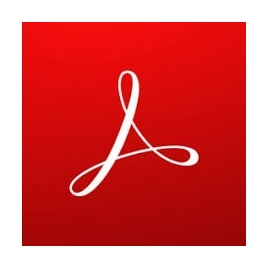 Adobe Acrobat Standard 2020 1 Usuario Descarga