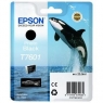 Cartucho Epson T7601 Black SC-P600