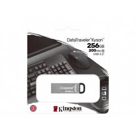 Memoria USB 3.2 256GB Kingston Dtkn Silver
