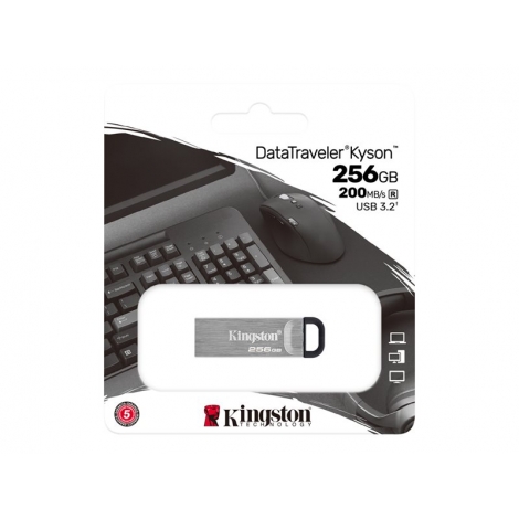 Memoria USB 3.2 256GB Kingston Dtkn Silver