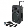 Altavoz Bluetooth Ibiza Sound PORT10VHF-BT Portatil 10" 250W Black + 2 Microfonos