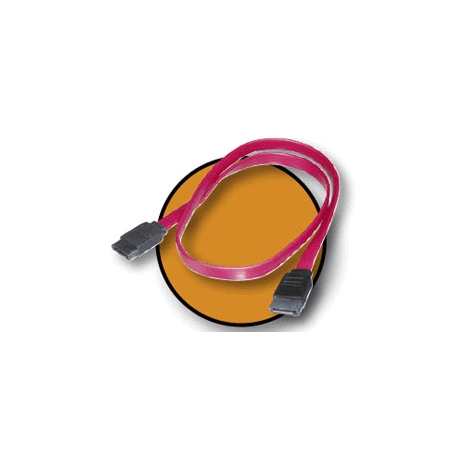 Cable Kablex Sata Disco Duro 0.5M