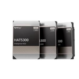 Disco Duro 12TB Sata6 256MB 7200RPM Synology 3.5"