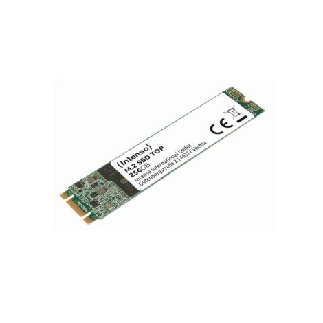 Disco SSD M.2 256GB Intenso TOP 2280 Sata6