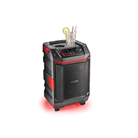 Altavoz Bluetooth NGS Wild Bash 300W BT TWS USB AUX IPX6 RGB Black