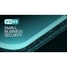 Antivirus Eset Small Business Security 11 Usuarios 1 año Licencia